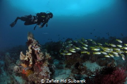 KEEP CALM and DIVE by Zaflee Md Suibarek 